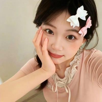 少数意见